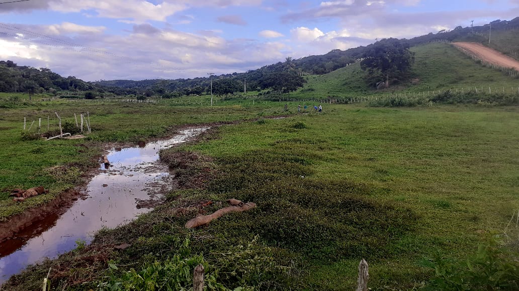 Aesa realiza limpeza da calha do rio Canafístula e permite passagem da água até barragem