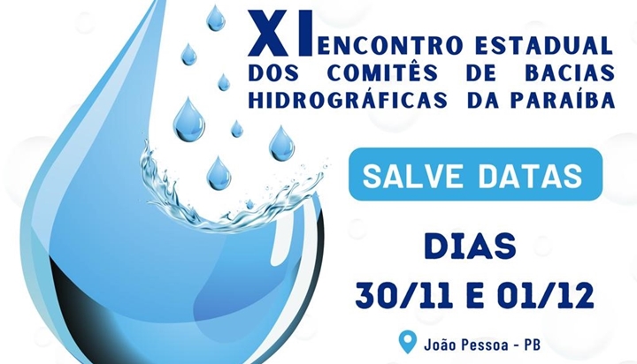 ENCONTRO ESTADUAL DOS COMITÊS TERÁ TRANSMISSÃO AO VIVO