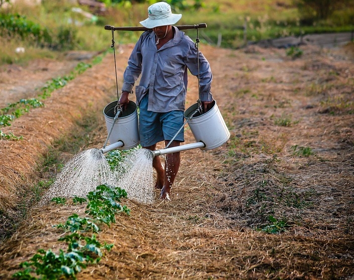 Aesa criará Sistema Estadual de Informações de Riscos Agrohidroclimáticos para auxiliar agricultores